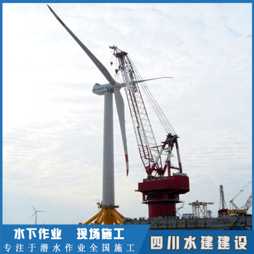 海上風(fēng)電摸排公司