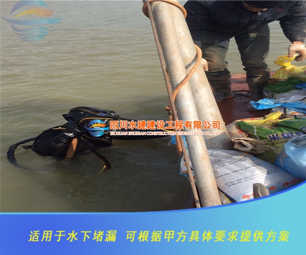 水下堵漏公司